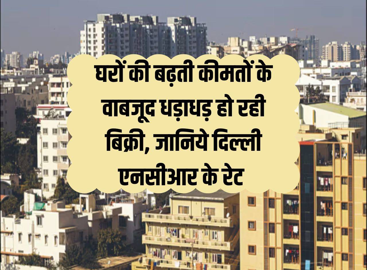 Delhi NCR Property : घरों की बढ़ती कीमतों के वाबजूद धड़ाधड़ हो रही बिक्री, जानिये दिल्ली एनसीआर के रेट 