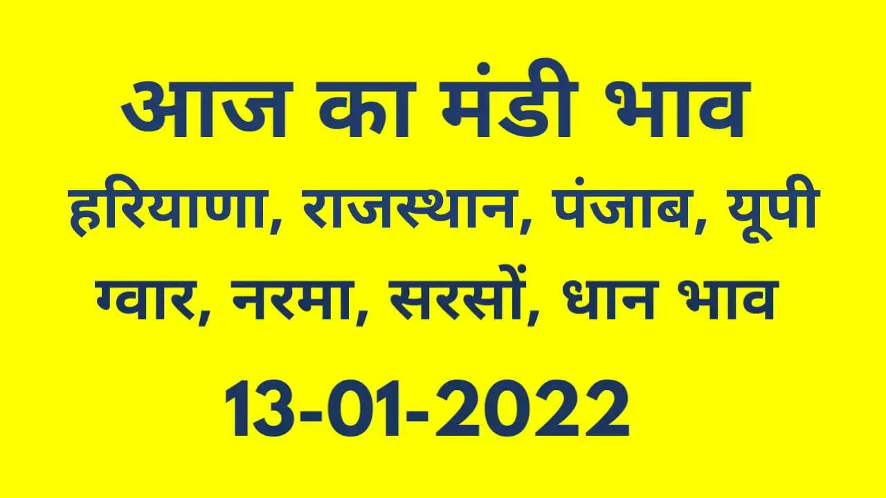 Nohar Adampur Mandi Bhav 13 January 2022