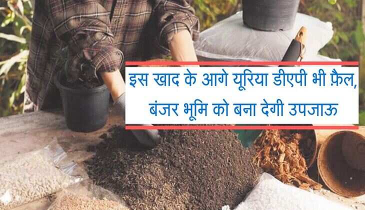 इस खाद के आगे यूरिया डीएपी भी फ़ैल, बंजर भूमि को बना देगी उपजाऊ