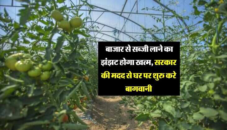 Sarkari Yojana: बाजार से सब्जी लाने का झंझट होगा खत्म, सरकार की मदद से घर पर शुरु करे बागवानी
