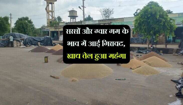 Jaipur Mandi Bhav: सरसों और ग्वार गम के भाव में आई गिरावट, खाद्य तेल हुआ महंगा