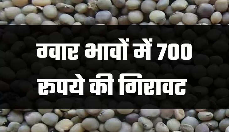 Guar mandi bhav today