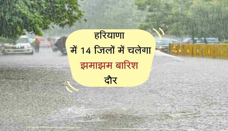 हरियाणा में 14 जिलों में चलेगा झमाझम बारिश दौर, गर्मी से मिलेगी निजात 