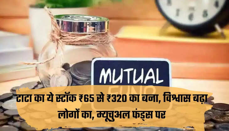 म्युचुअल फंड 