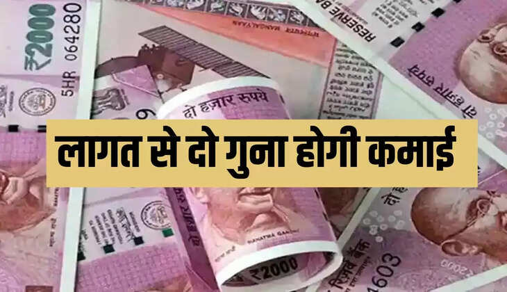लागत से दो गुना होगी कमाई
