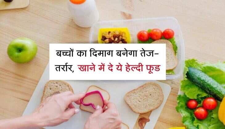 Lunch Box: बच्चों का दिमाग बनेगा तेज-तर्रार, खाने में दे ये हेल्दी फूड