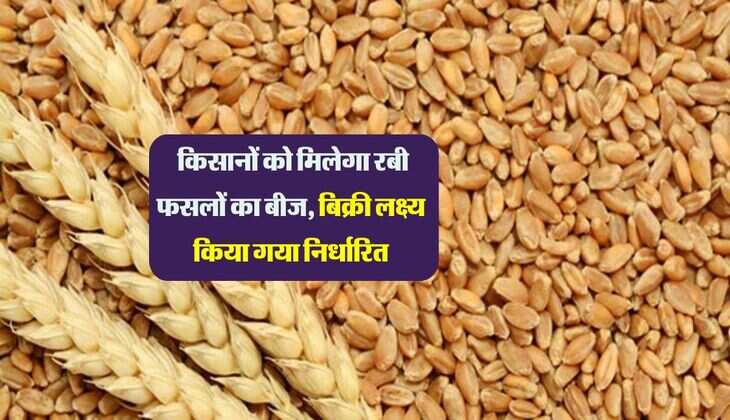 Mandi Bhav: किसानों को मिलेगा रबी फसलों का बीज, बिक्री लक्ष्य किया गया निर्धारित
