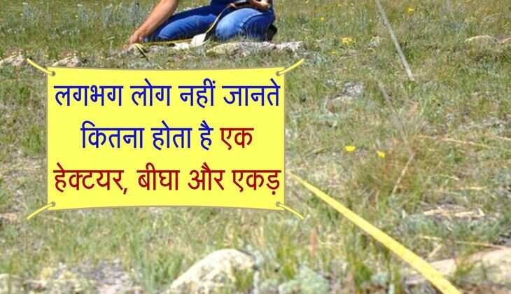 Property Knowledge: लगभग लोग नहीं जानते कितना होता है एक हेक्टयर, बीघा और एकड़, चलिए जानते है 