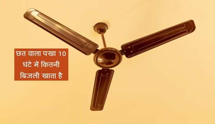 छत वाला पखा 10 घंटे में कितनी बिजली खाता है, तभी बढ़ता है बिजली बिल, जानिए पूरा कैलकुलेशन