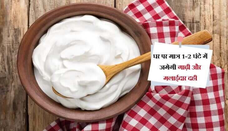 घर पर मात्र 1-2 घंटे में जमेगी गाढ़ी और मलाईदार दही, आप खुद रह जाएंगे हैरान 