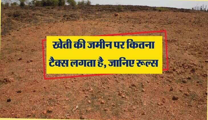 Income Tax Rule: खेती की जमीन पर कितना टैक्स लगता है, जानिए रूल्स