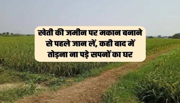 Construction Tips: खेती की जमीन पर मकान बनाने से पहले जान लें, कही बाद में तोड़ना ना पड़े सपनों का घर  