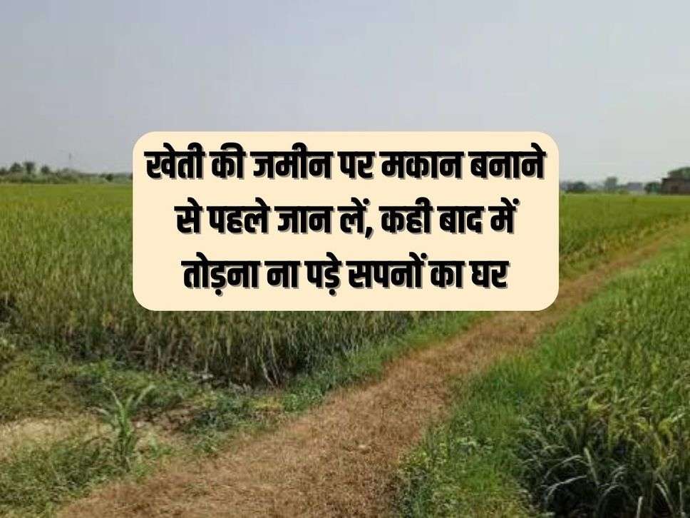 Construction Tips: खेती की जमीन पर मकान बनाने से पहले जान लें, कही बाद में तोड़ना ना पड़े सपनों का घर  