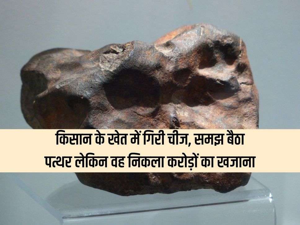 Rare Precious Stones: किसान के खेत में गिरी चीज, समझ बैठा पत्थर लेकिन वह निकला करोड़ों का खजाना