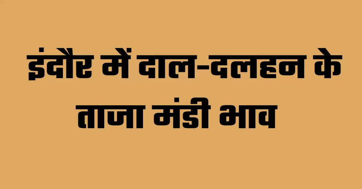 Indore Mandi News, Indore Mandi Bhav, Indore Mandi Bhav Today, Dal Rates in Indore, Dal Market in Indore, Pulses rate in Indore, Indore Market News, Indore News, MP News, Madhya Pradesh News, इंदौर मंडी समाचार, इंदौर मंडी भाव, इंदौर में दालों का रेट, इंदौर में दालों का भाव, इंदौर समाचार, मध्य प्रदेश समाचार,indore, madhya-pradesh, hindi news,