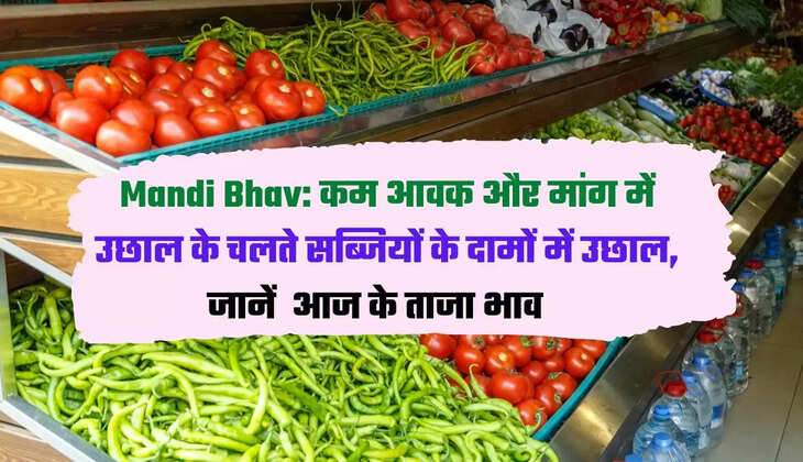Krishi News, Krishi News Hindi, Vegetable Rate, Vegetable Price Hike in Delhi-NCR, Onion Price, Potato Price, Tomato Price Hike in Delhi, कृषि न्यूज, कृषि न्यूज हिन्दी, सब्जी रेट, दिल्ली-एनसीआर में महंगी हुई सब्जी, प्याज की कीमत, आलू कीमत, दिल्ली में टमाटर हुआ महंगा, सब्जी प्राइस हाइक"