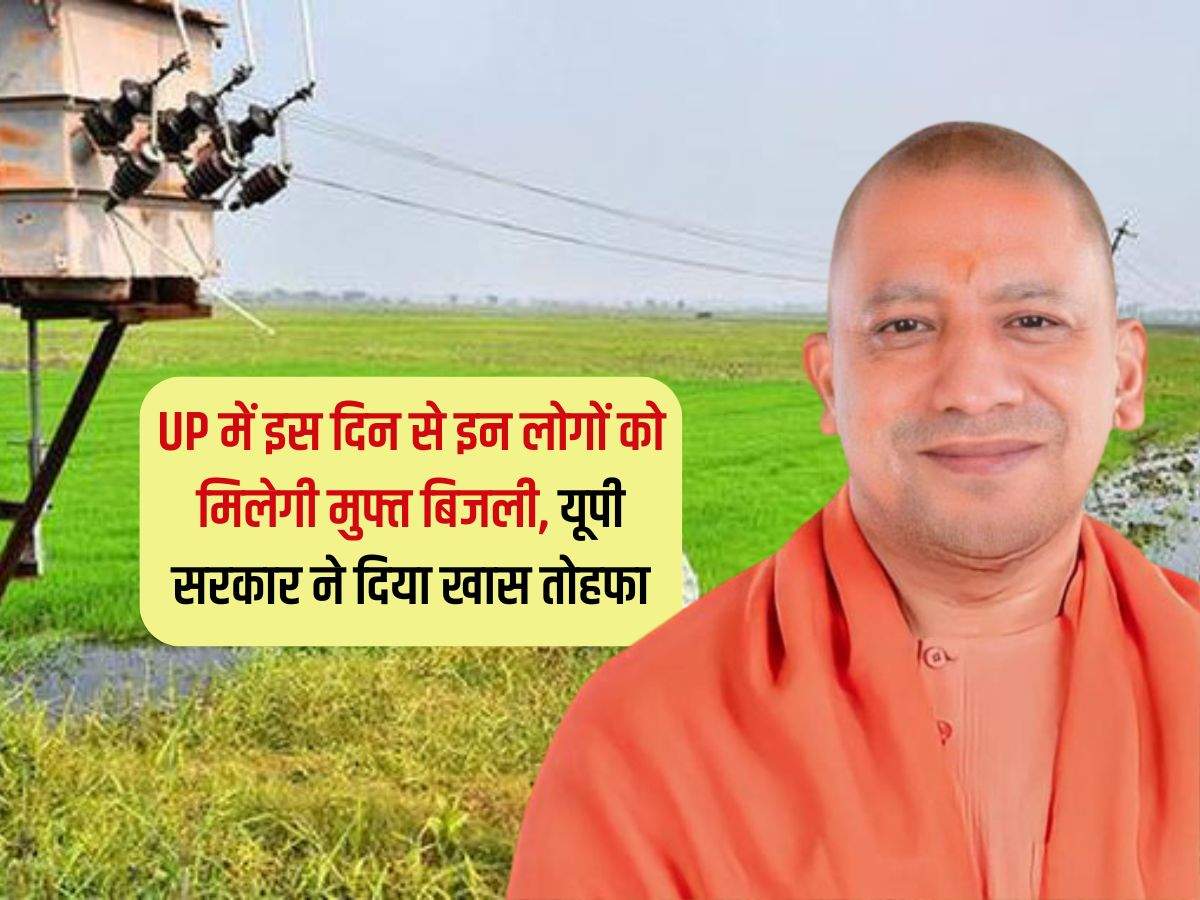 Reservation will be applicable on triple tea formula After the order of the  High Court in the civic elections, the UP government formed the commission  | निकाय चुनाव को लेकर यूपी सरकार