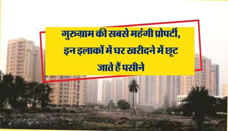 Gurugram Property Rates : गुरुग्राम की सबसे महंगी प्रोपर्टी, इन इलाकों में घर खरीदने में छूट जाते हैं पसीने