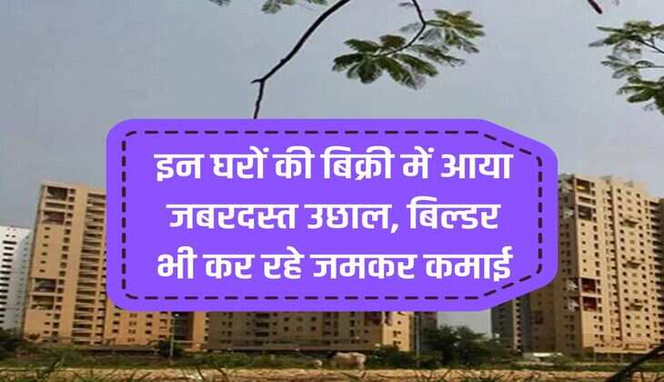 Property Market: There is a huge jump in the sales of these houses, builders are also earning a lot