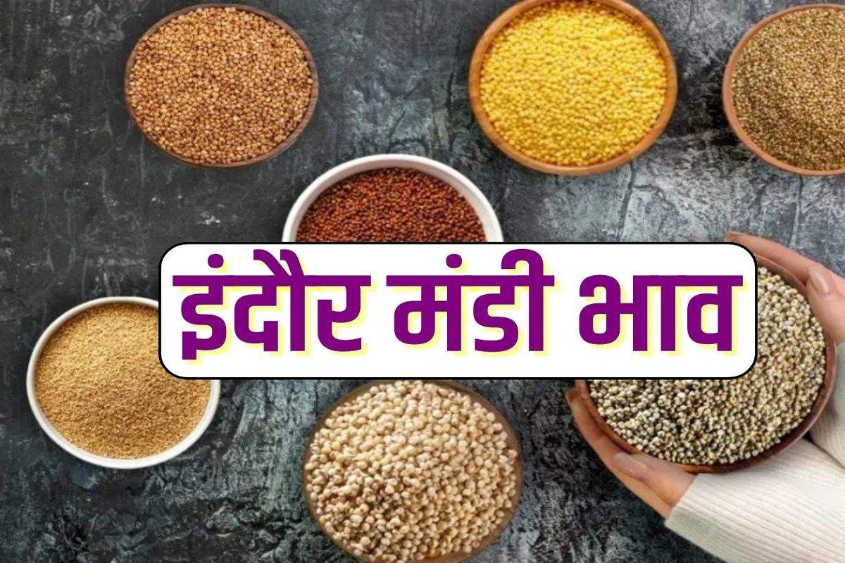 Indore Mandi Bhav: मसूर की कीमतों में उछाल, चना और सरसों के भी बढ़े दाम 