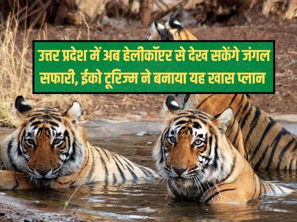 UP Tourist News: Now you can see jungle safari from helicopter in Uttar Pradesh, eco tourism made this special plan