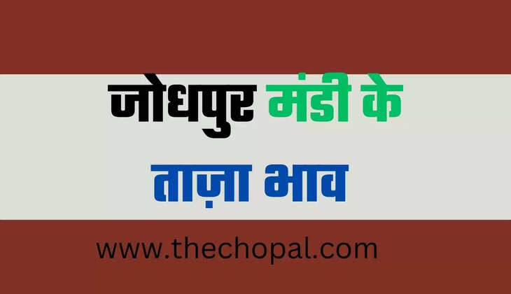 जोधपुर मंडी भाव 