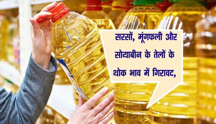 Edible Oil Price: सरसों, मूंगफली और सोयाबीन के तेलों के थोक भाव में गिरावट, जानिए नए रेट