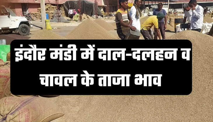 Indore market,  Indore market | Mandi Bhav News | | Business News News