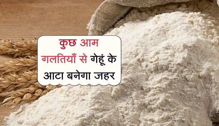 कुछ आम गलतियाँ से गेहूं के आटा बनेगा जहर, जरा रखें ध्यान 