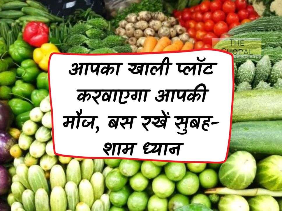 Your vacant plot will make you happy, just keep in mind morning and evening