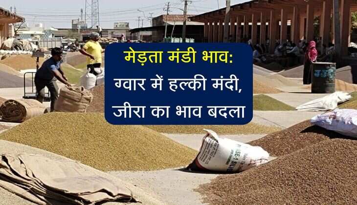 मेड़ता मंडी भाव 30 जून 2025: ग्वार में हल्की मंदी, जीरा का भाव बदला, देखें अन्य फसल रेट