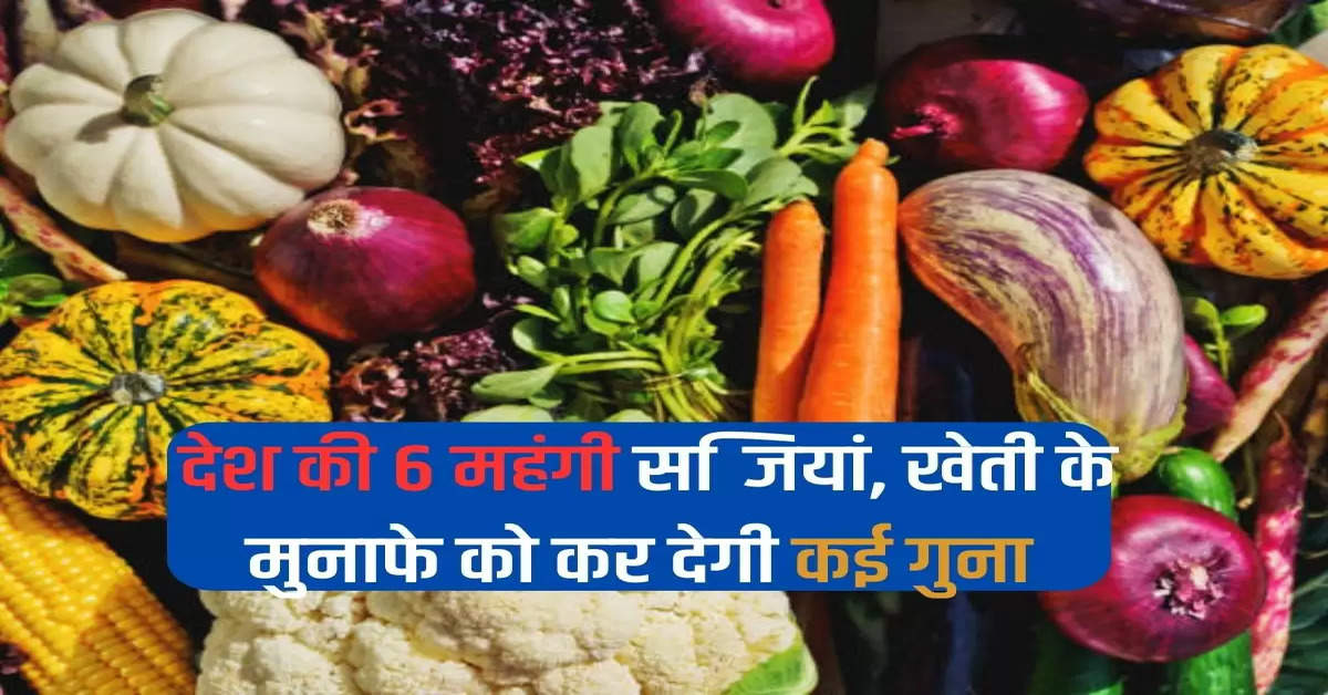 6 expensive vegetables of the country, will multiply the profit of farming