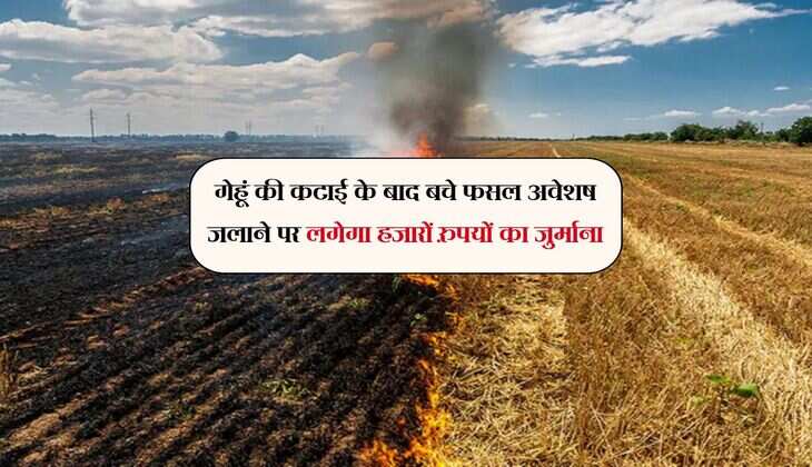 किसानों के लिए खास सूचना, गेहूं की कटाई के बाद बचे फसल अवेशष जलाने पर लगेगा हजारों रुपयों का जुर्माना