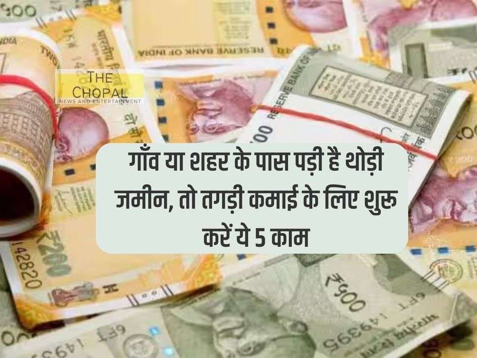 Business Idea: गाँव या शहर के पास पड़ी है थोड़ी जमीन, तो तगड़ी कमाई के लिए शुरू करें ये 5 काम