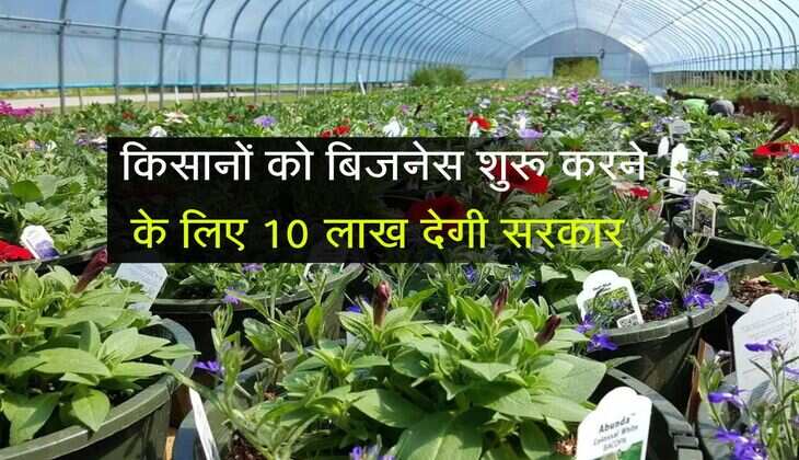 किसानों के लिए बिजनेस शुरू करने का सुनहरा मौका आ गया है। अब सरकार द्वारा निर्धारित की गई गाइडलाइन के अनुसार नर्सरी का बिजनेस शुरू करने के लिए 10 लाख रुपए का अनुदान दिया जा रहा है।
