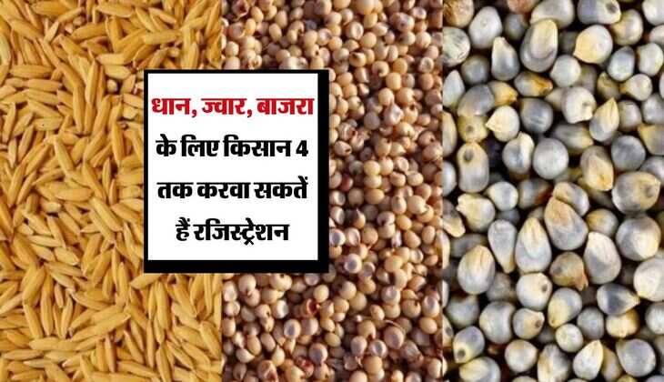 Sagar News: धान, ज्वार, बाजरा के लिए किसान 4 तक करवा सकतें हैं रजिस्ट्रेशन