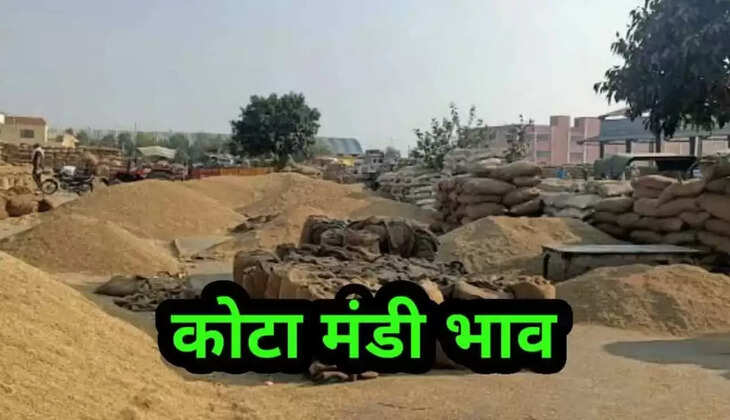 Kota Mandi Bhav 20 December 2021