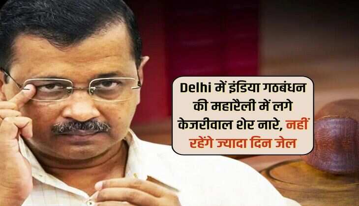 Delhi में इंडिया गठबंधन की महारैली में लगे केजरीवाल शेर नारे, नहीं रहेंगे ज्यादा दिन जेल