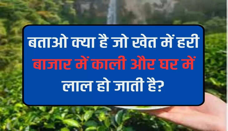 बताओ क्या है जो खेत में हरी बाजार में काली और घर में लाल हो जाती है?
