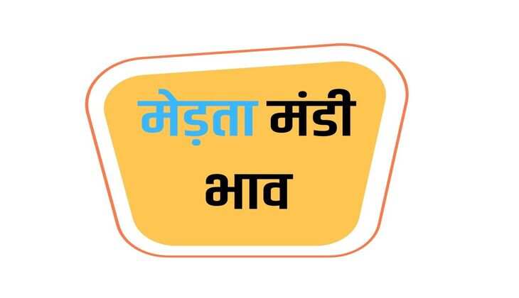 मेड़ता मंडी भाव 27 जनवरी 2024 : मुंग, चमकी मुंग, सौफ, जीरा, ग्वार, ईसबगोल, सुवा, चना