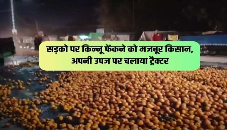 सड़को पर किन्नू फेंकने को मजबूर किसान, अपनी उपज पर चलाया ट्रैक्टर